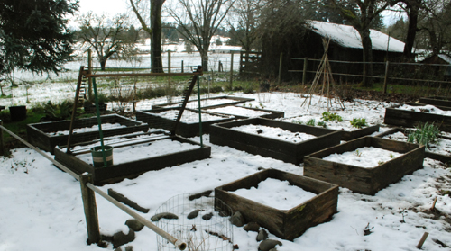 raised beds in snow